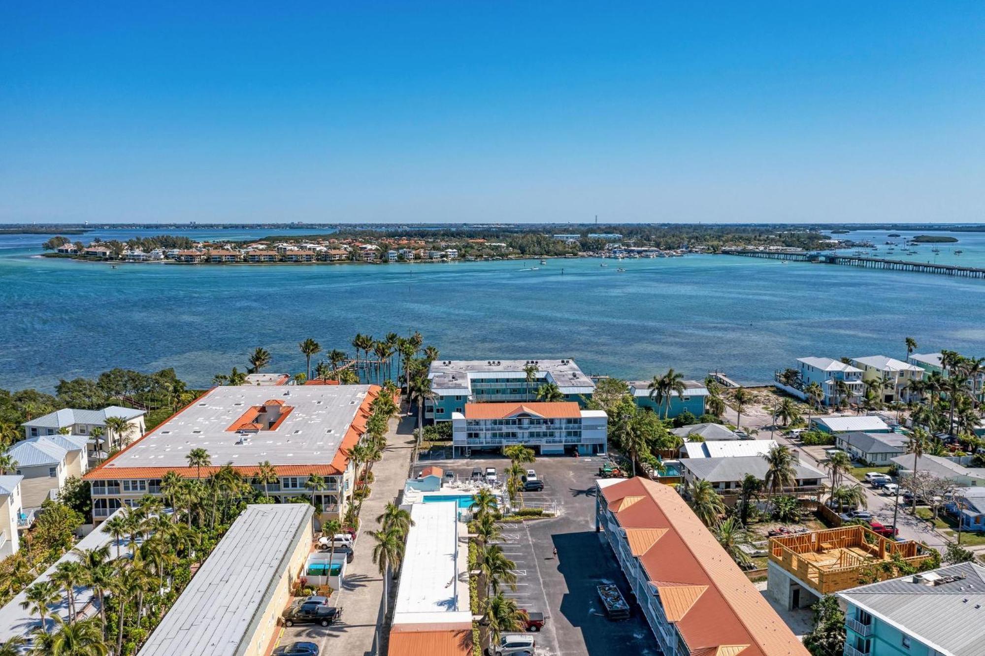 Anna Maria Island Palms 6b *